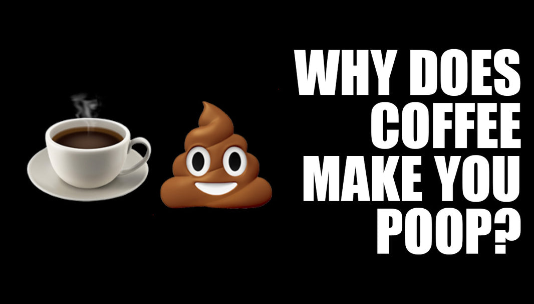 Why Does Coffee Make You Poop?